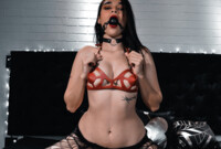 Performer DaliaLothbrok Photo 12
