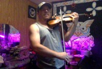 Performer FiddleBear Photo 3