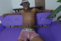 Artista kingniser Foto 12