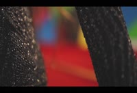 Interprete NalaFox Video 1