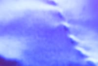 Darsteller NicoleColleman Video 1