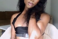 Interprète theepussykatt Photo 12