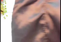 Interprete TAMMYVEGA69 Video 1