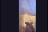 Darsteller Horny69Dude Video 1