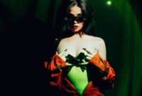 Artist RosseFoxx Foto 6