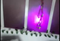 Artiest AnthoniaRose Video 1