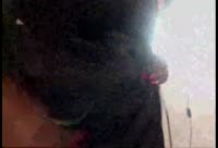 Darsteller Curvyqueen777 Video 1