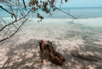 Artiest VickyGreco Foto 7