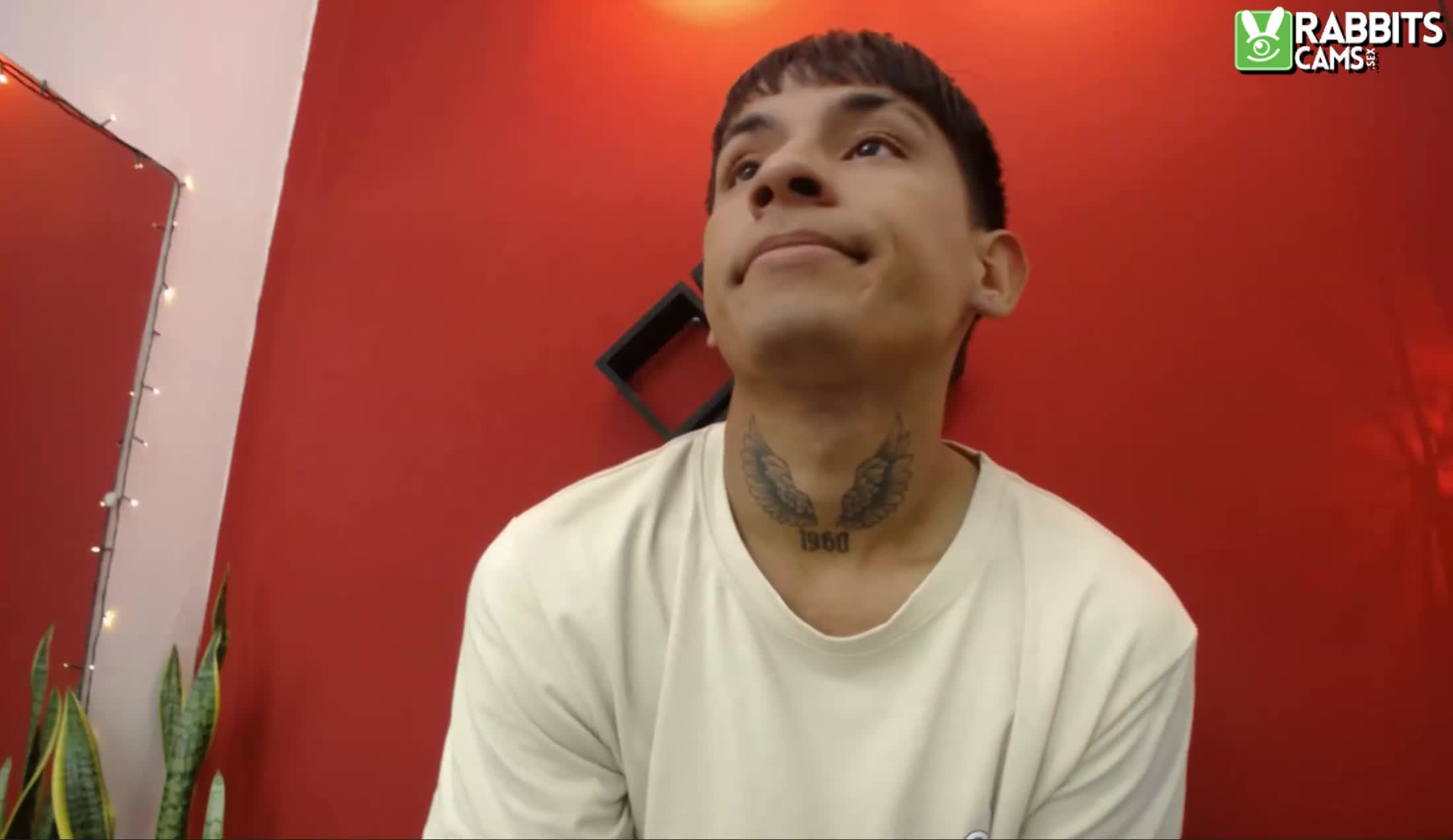 Intérprete Sutistunt Video 1