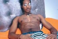 Artiest Stevens_Collins Foto 1