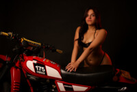 Artist NiaNorettix Foto 2