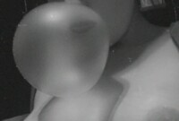 Interprete Sassyhyde Foto 5