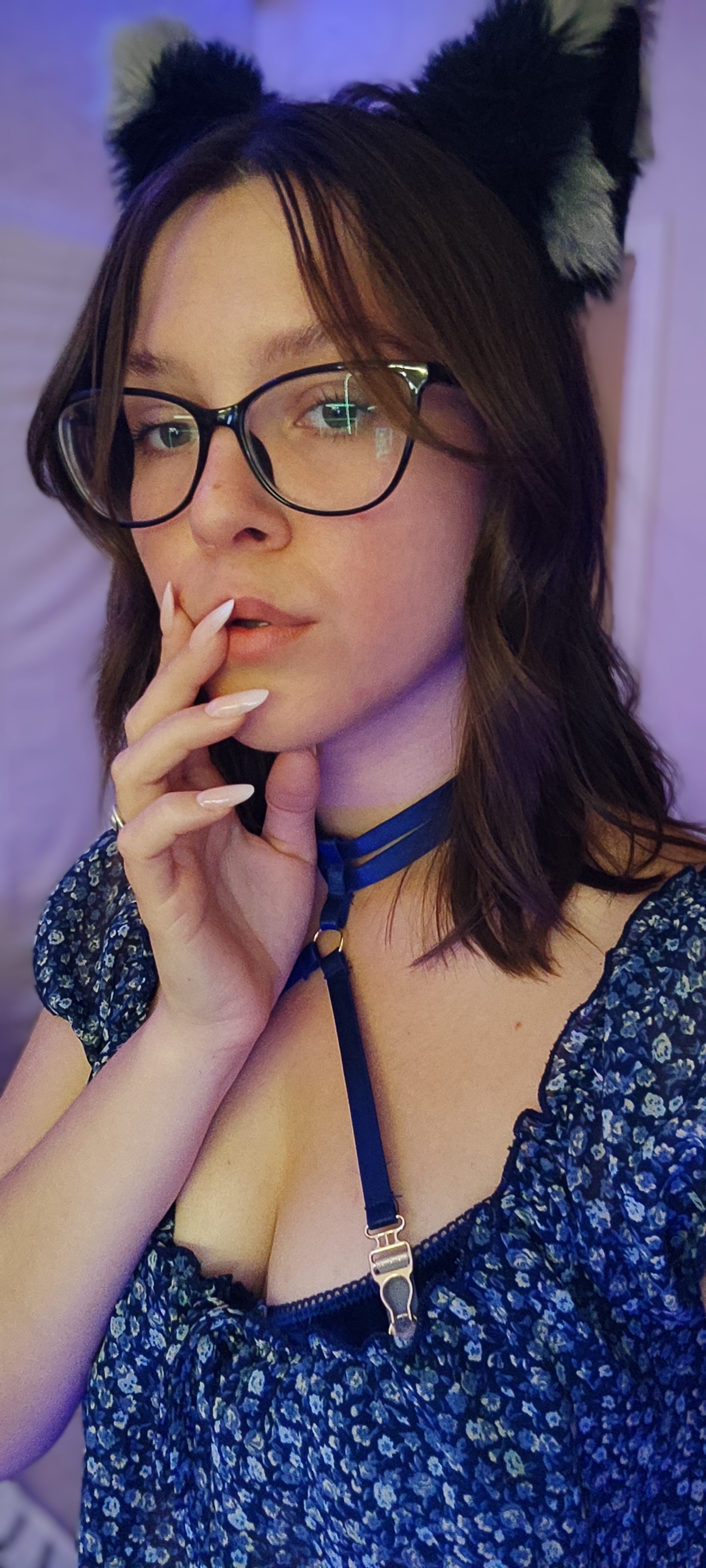Artista AliceSlyFox Foto 3