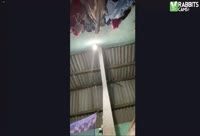 Intérprete Esperanza22 Video 1