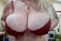 Performer Shellyfox Photo 4