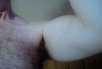 Interprète Whitepanther Photo 11