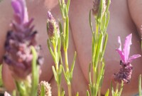 Intérprete THESensualhorny Foto 1
