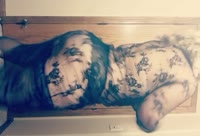 Artiest TrinaBanks Video 1