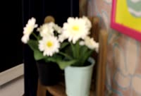 Artiest Alexa_18me Video 1