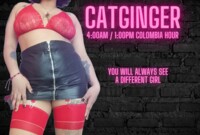 Performer catginger Photo 1