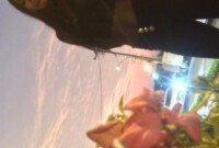 Interprete Riassa Foto 11