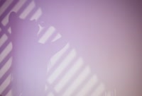 Artiest Kaylee_Mae Video 1