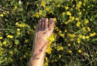 Artista Feet_inthecuntry Foto 11