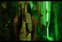 Artista Daniela_Cole Video 1