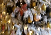 Performer SusanHorn Video 1
