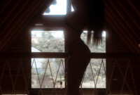 Artista Isabelle_Rosse Foto 11