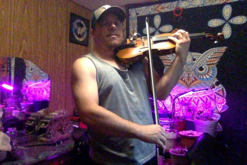 Performer FiddleBear Photo3