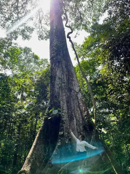 Live Cam & Sex Chat with VictoriaBalee on Rabbits Cams