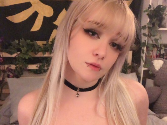 Foto de perfil de modelo de webcam de Gwentai 