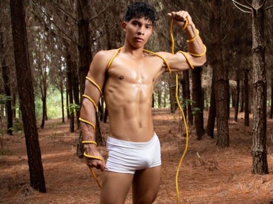 Foto de perfil de modelo de webcam de AlejandroVenuz 