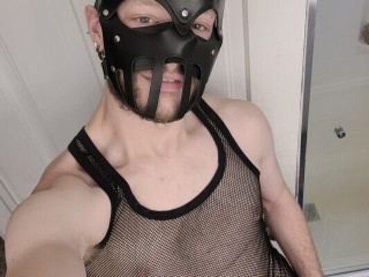 Foto de perfil de modelo de webcam de AverageHouseBunny 