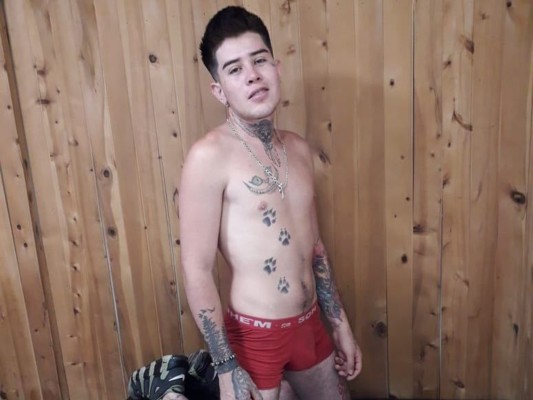 Foto de perfil de modelo de webcam de jack_tatto18 