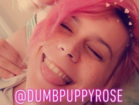 dumbpuppyrose cam model profile picture 
