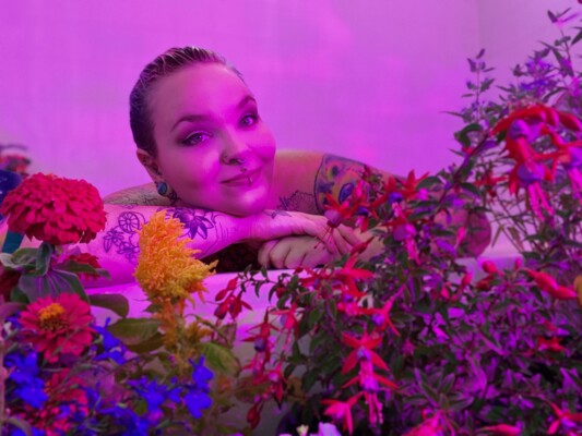 Foto de perfil de modelo de webcam de AubergineXO 