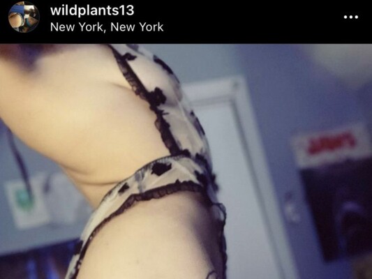 Image de profil du modèle de webcam wildplants18