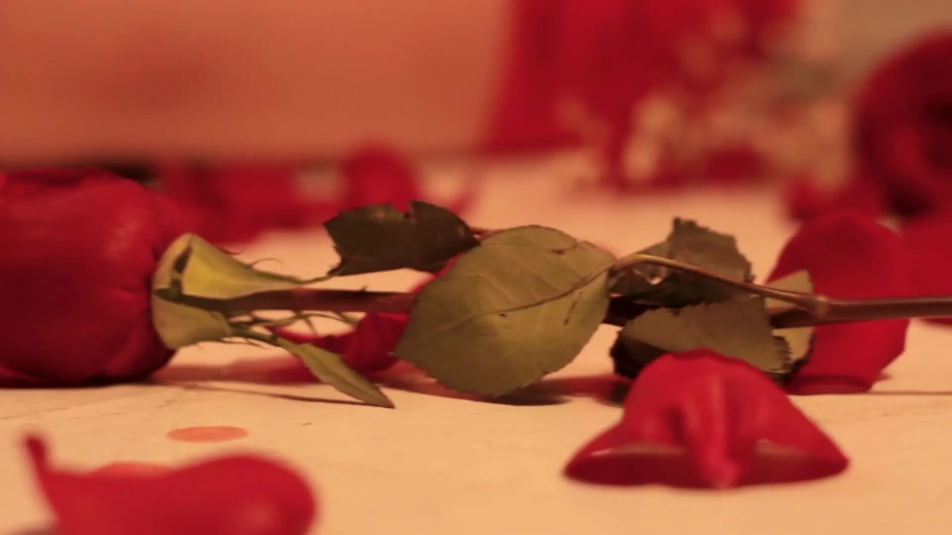 Intérprete IsabellaRouse Video 3