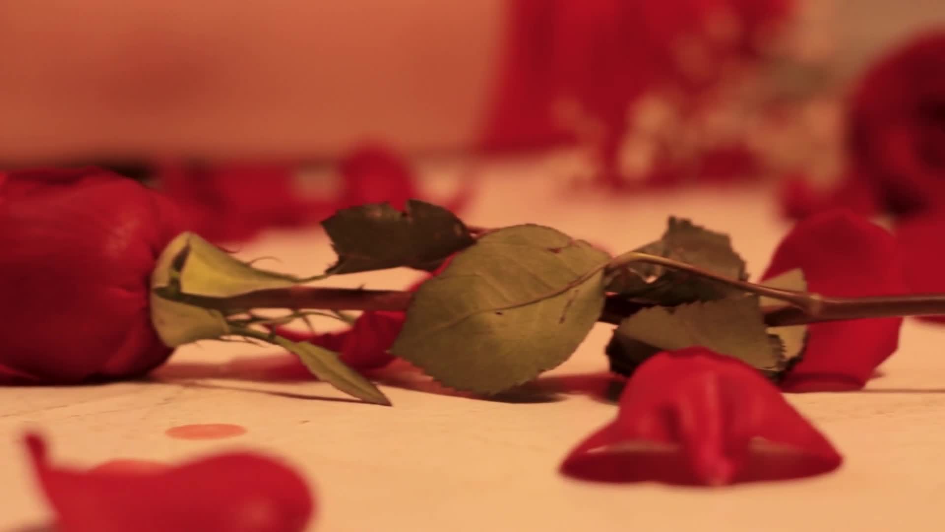 Utøver IsabellaRouse Video 3