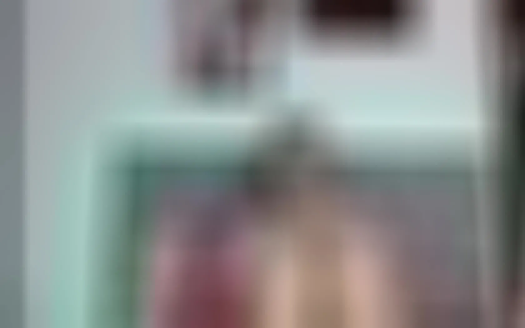 Intérprete MeyEvanson Video 2