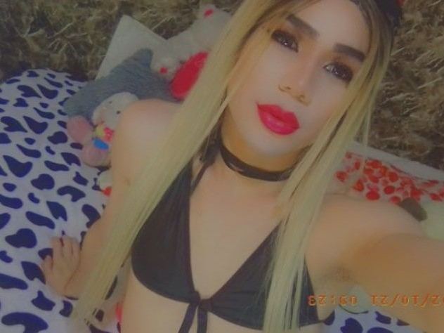 Foto de perfil de modelo de webcam de puccasx 