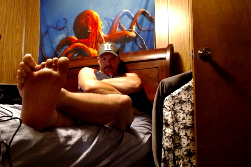 Intérprete FiddleBear Foto 2