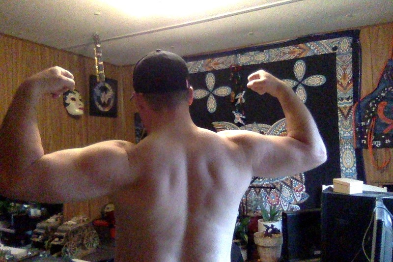 Intérprete FiddleBear Foto 4