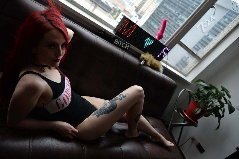 Interprete SophiePoker Foto 8