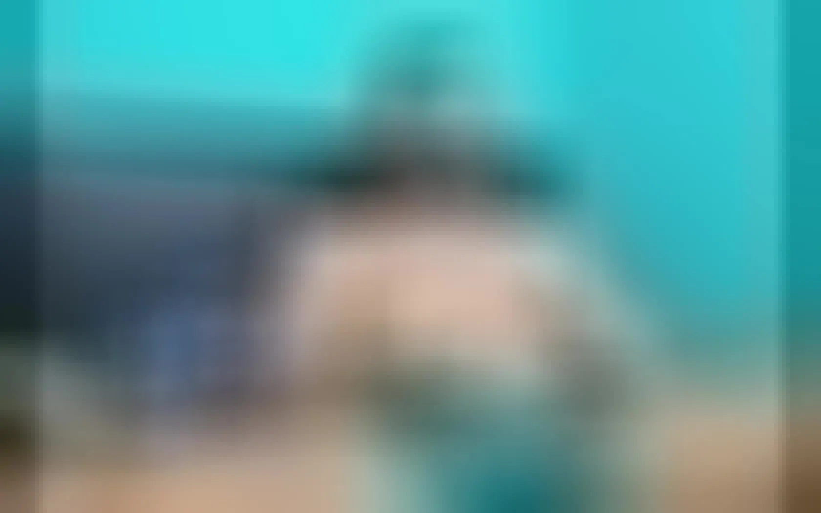 Interprète Thomaswolk Vidéo 1
