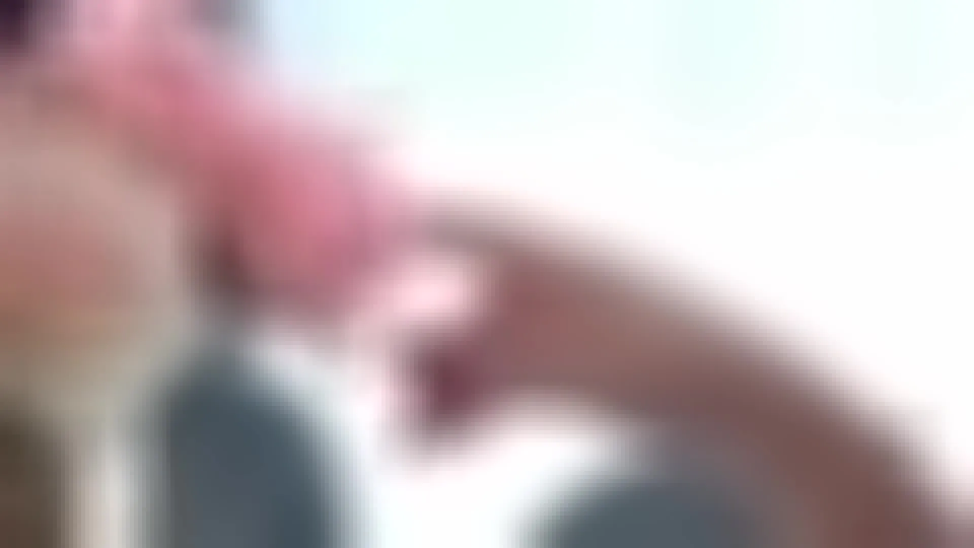 Artiest LaurenJensen Video 2