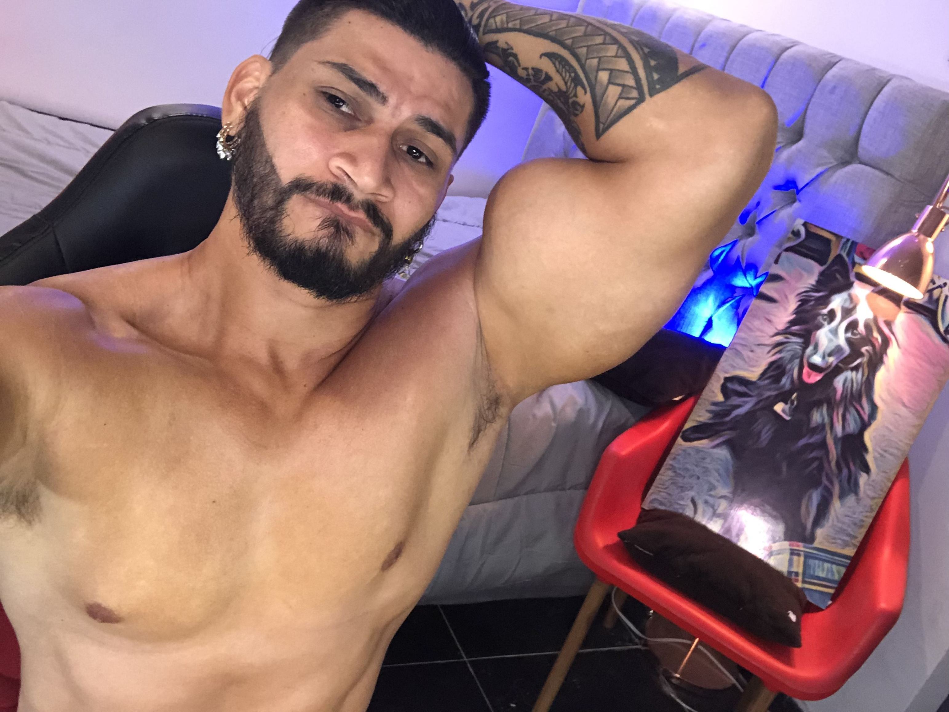 Foto de perfil de modelo de webcam de ArnoldHaeht 