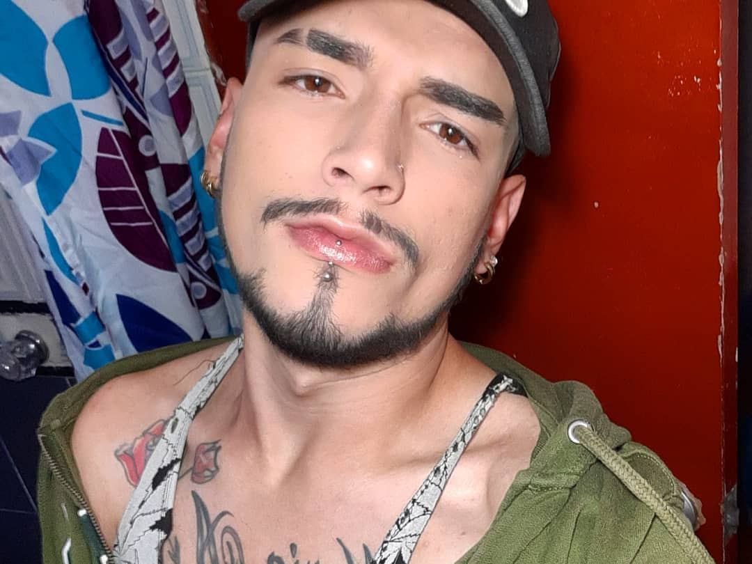 Foto de perfil de modelo de webcam de AndySn 